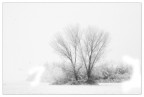 dolce natura