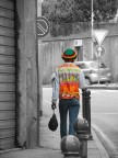 Colori