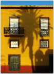 Forte con palma