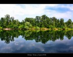 riflessi