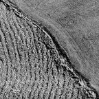 Terre di Siena