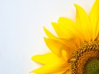 solare