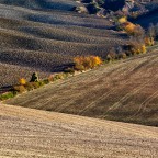 Terre di Siena Terre di Siena