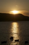 CRoazia