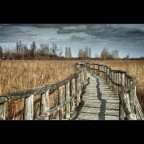 postcard paradise postcard paradise