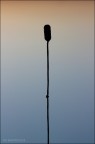 On Air