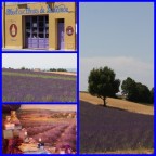 Provenza. Canon 40D