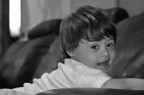 david_2