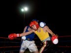 Fight Night