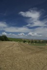 Maremma - Toscana - Italia

Campo di fieno sito vicino Magliano in Toscana (GR)