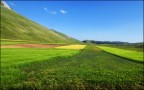 A Green Valley