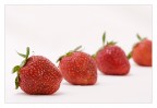 Fragole