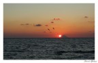 Nicotera Marina........