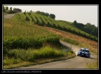 70mm - 1/800 - f5.6 - iso100