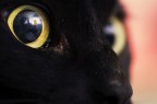 Il mondo visto da un'altra prospettiva