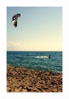 &quot;Surf&quot;