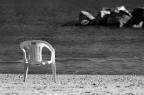 Assente..