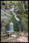 Le fonti de Giano