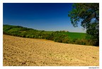 Collina bolognese