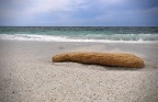 01- Sardinia 2011