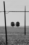 Isola della Donzella, Delta del Po, agosto 2011