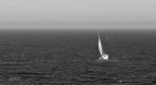 L'amicizia  una nave abbastanza grande per portare due pers