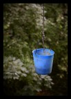 un vecchio secchio che un contadino usa per raccogliere l'acqua per i suoi cavalli da un piccolo fiume
5d+contax planar 100/2