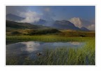 Peat bog