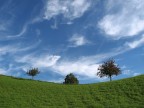 i tre alberi