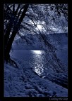 Looking the lake