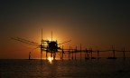 Nikon D700; 70mm; f/11; 1/2000; ISO 200

Critiche e suggerimenti sempre ben accetti!