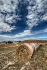Il sigaro ( il fumo nuoce...)