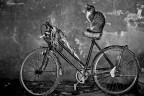 Sognando Coppi