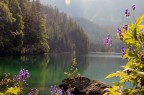 ciao, ho fatto questa foto al lago che mi piace molto, purtroppo  uscito il riflesso del sole in alto, come posso toglierlo? ho provato con photoshop (timbro clone) ma non sapendolo usare  uscita una schifezza.

grazie

ciao