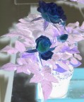 attraverso l'intenso contrasto dei colori possiamo scorgere emozioni nascoste