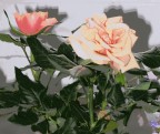 Non sempre i colori delle nostrea passioni possono essere rappresentati dalla natura
