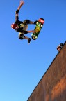 Fly n.1