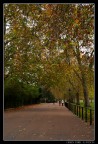 Di sicuro del weekend trascorso a Londra mi hanno colpito le ore trascorse all'interno dei parchi... posto questo scatto dell'ingresso del parco, per condividere con voi la bellezza di questi luoghi, e per capire un po' se avete qualcosa da dire per aiutarmi ;)