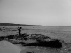 Pesca