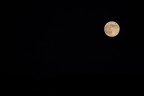 Luna su fondo nero