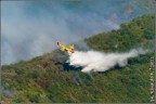 Canadair in azione sul Vesuvio il 31 Agosto 2011.
Canon 30d + Canon EF-S 55-250 @ 250mm