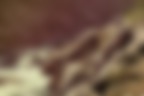 Red Rocks #2
