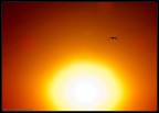 Fuji S100fs
Manuale
f/11
1/320
iso 100
53,1 mm