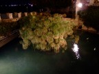 Fontana Aretusa