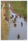 bagni paperina ore 7 di mattina