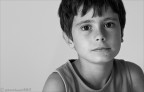 fede