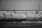 Il Pescatore