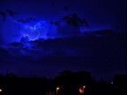 electric night