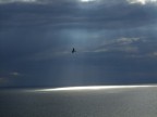 Sprazzi di luce