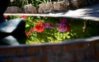 riflessi